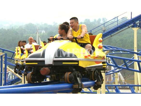 Family Roller Coaster