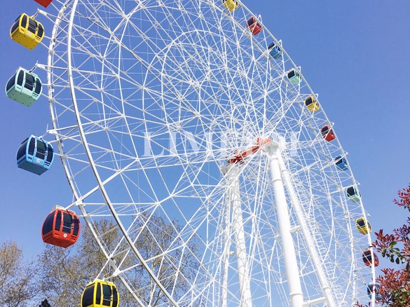 50m Ferris Wheel