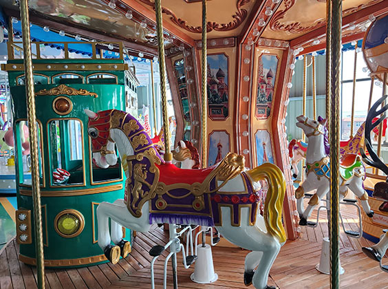 16 Seats Luxury Carousel