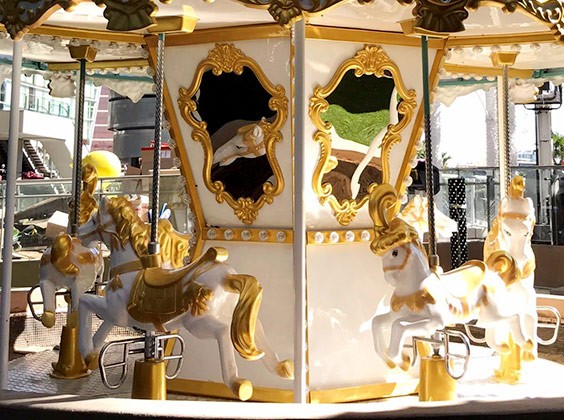 6 Seats Carousel