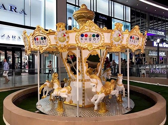 6 Seats Carousel