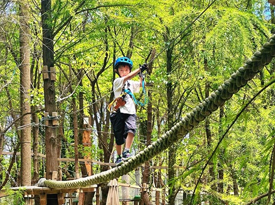 Jungle adventure