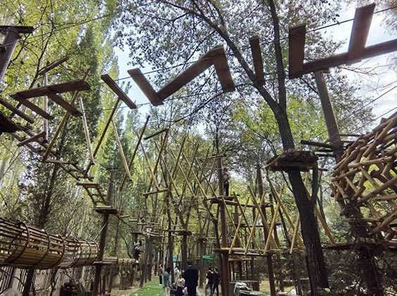 Jungle adventure