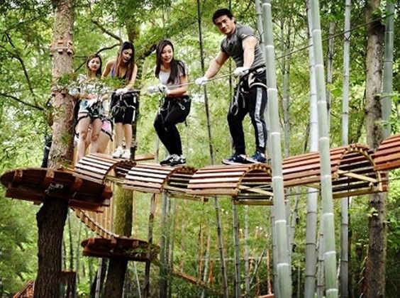 Jungle adventure