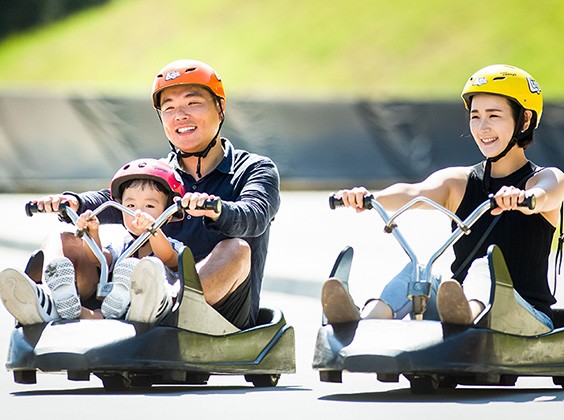 Skyline Luge Cart