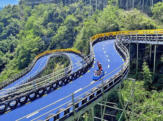 Skyline Luge Cart
