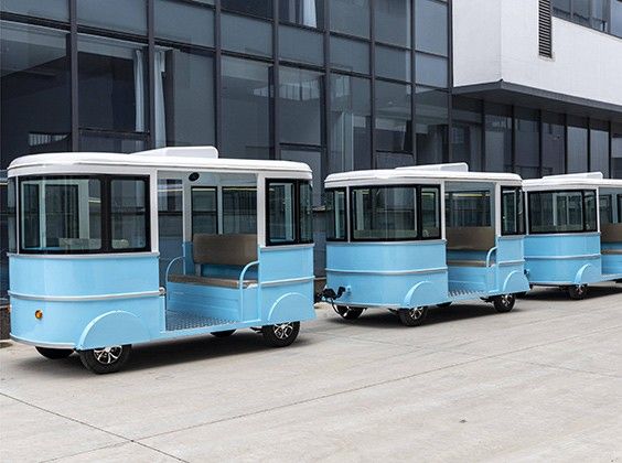 Trackless Train