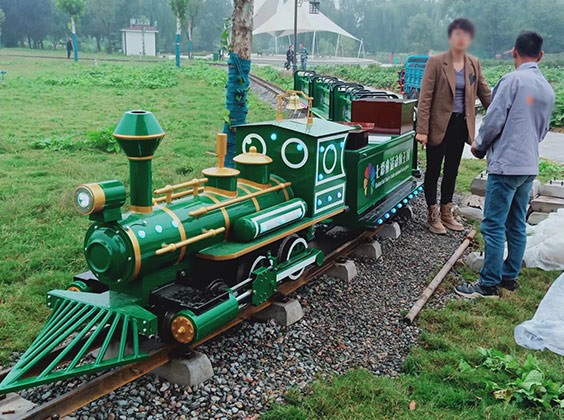 Mini Rail Sightseeing Train