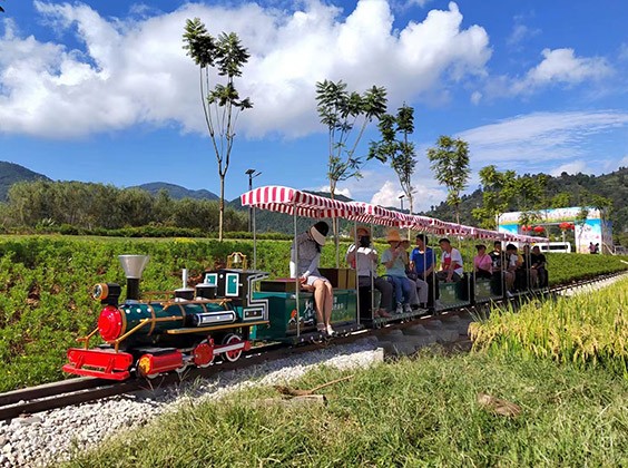 Mini Rail Sightseeing Train