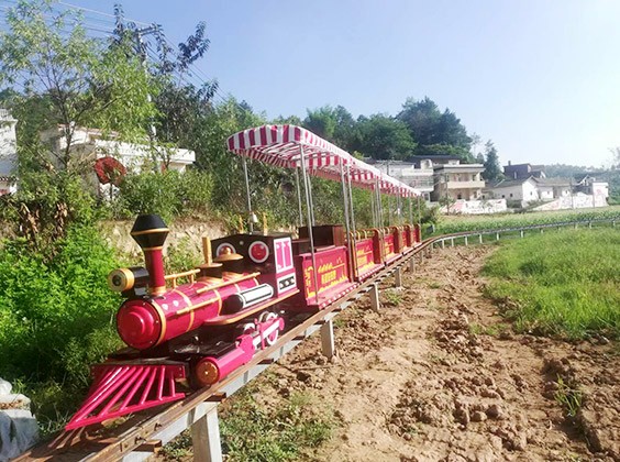 Mini Rail Sightseeing Train