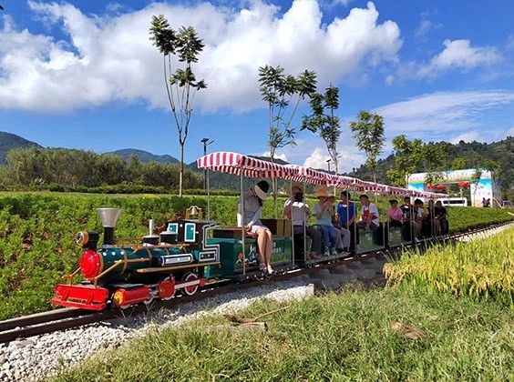 Mini Rail Sightseeing Train