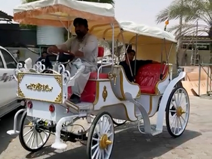 Electric Horse Carriages Installed in Dubai Park